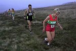 Click on thumbnail for larger photo
