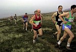 Click on thumbnail for larger photo
