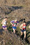 Click on thumbnail for larger photo