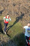 Click on thumbnail for larger photo