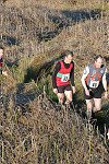 Click on thumbnail for larger photo