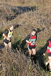 Click on thumbnail for larger photo