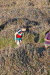Click on thumbnail for larger photo