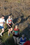 Click on thumbnail for larger photo