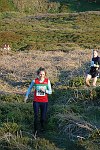 Click on thumbnail for larger photo
