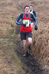 Click on thumbnail for larger photo