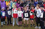 Click on thumbnail for larger photo