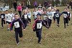 Click on thumbnail for larger photo