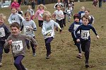Click on thumbnail for larger photo