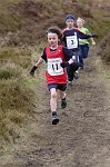 Click on thumbnail for larger photo