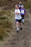 Click on thumbnail for larger photo