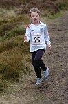 Click on thumbnail for larger photo