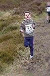 Click on thumbnail for larger photo