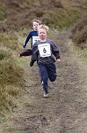 Click on thumbnail for larger photo