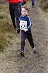 Click on thumbnail for larger photo