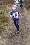 Click on thumbnail for larger photo