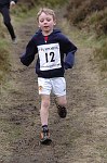 Click on thumbnail for larger photo