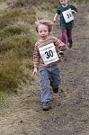 Click on thumbnail for larger photo