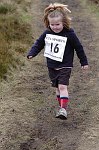 Click on thumbnail for larger photo