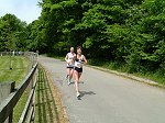 Click on thumbnail for larger photo