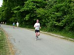 Click on thumbnail for larger photo