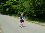 Click on thumbnail for larger photo