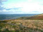 Click on thumbnail for larger photo
