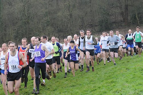 Photo DSC_7338.jpg copyright &copy; 2013 Paul Wood