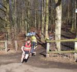 Click on thumbnail for larger photo
