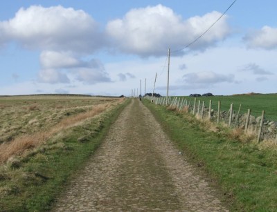 Click for more photos