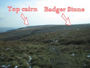 Badger stone