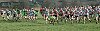Click on thumbnail for larger photo