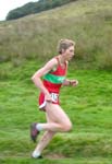 Click for Harriers photos