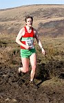 Click for Harriers photos