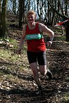 Click on thumbnail for larger photo