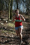 Click on thumbnail for larger photo