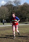 Click on thumbnail for larger photo