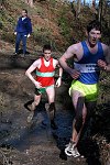 Click on thumbnail for larger photo