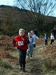 Click on thumbnail for larger photo