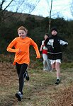 Click on thumbnail for larger photo