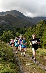 Click on thumbnail for larger photo