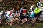 Click on thumbnail for larger photo