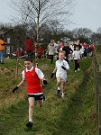 Click on thumbnail for larger photo