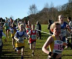 Click on thumbnail for larger photo
