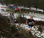 Click on thumbnail for larger photo