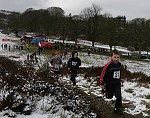 Click on thumbnail for larger photo