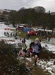 Click on thumbnail for larger photo