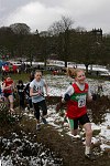 Click on thumbnail for larger photo