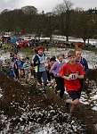 Click on thumbnail for larger photo