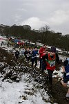 Click on thumbnail for larger photo